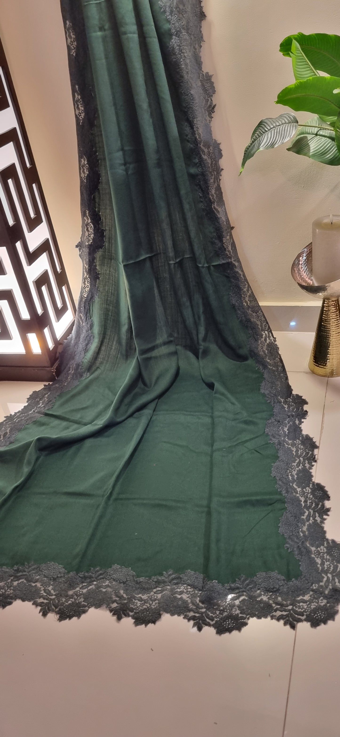 Pashmina chantilly shawl