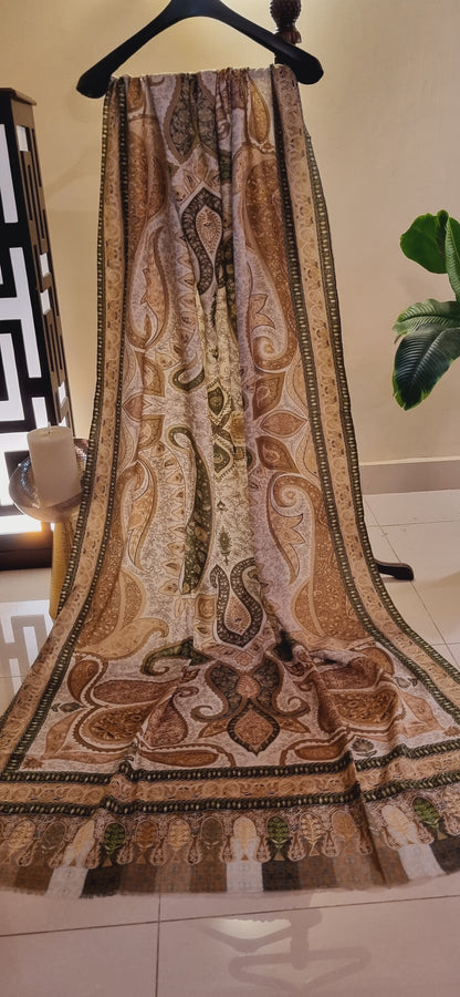 Reelkar embroidered pashmina