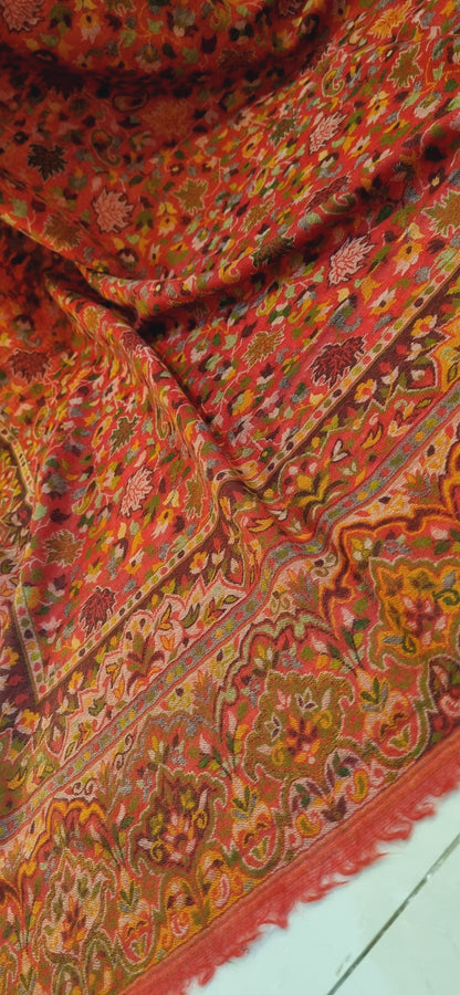 Persian kaani Pashmina shawl