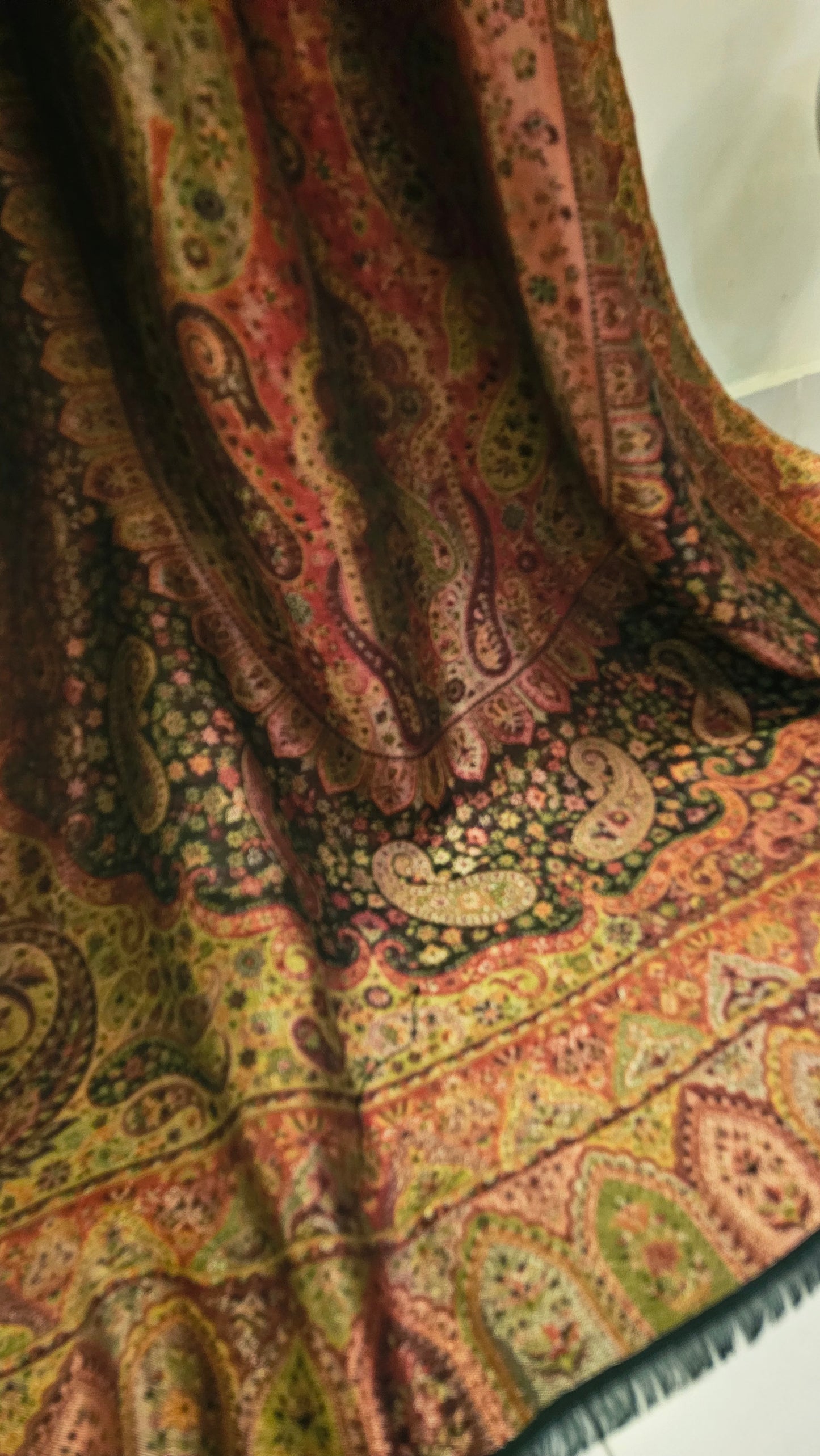 Gandhara reversible kaani: shawl