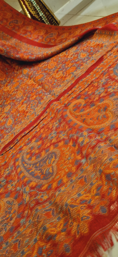 Woollen pashmina kaani shawl