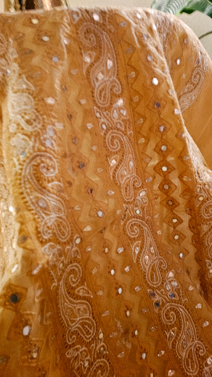 Chikankari embroidered shirt with gota and mirror work