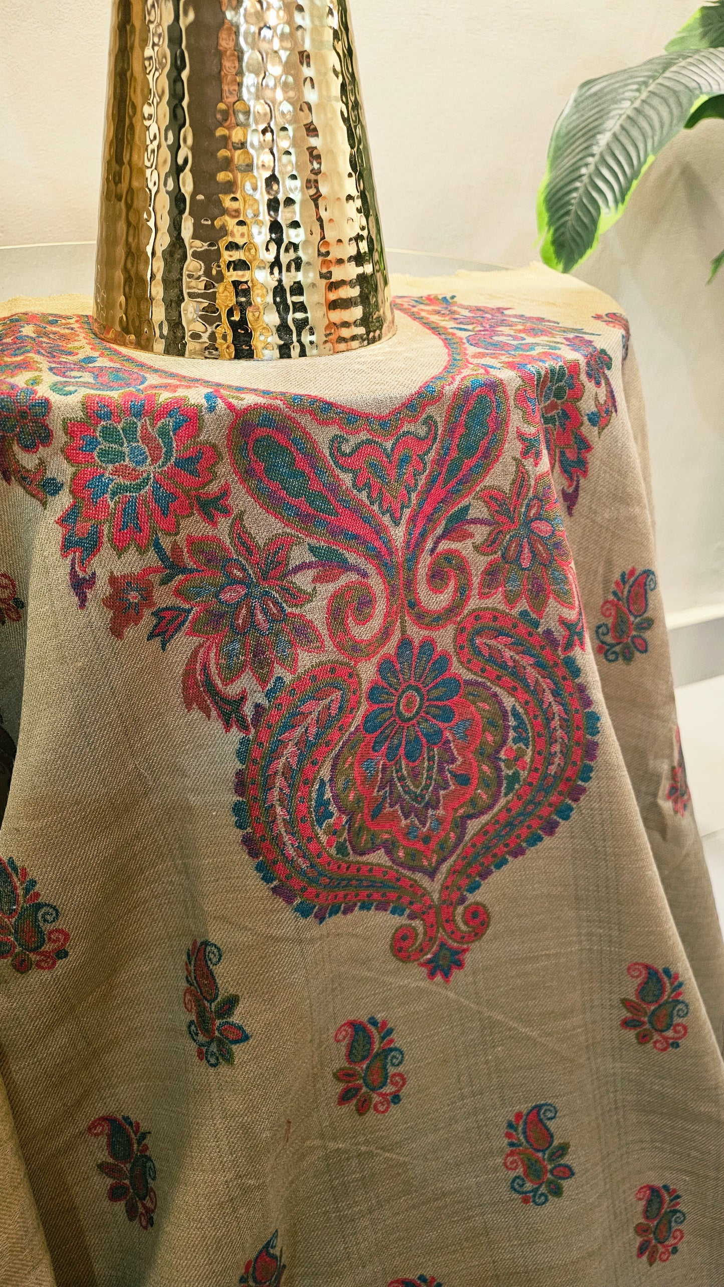 Kaani suit: Pashmina