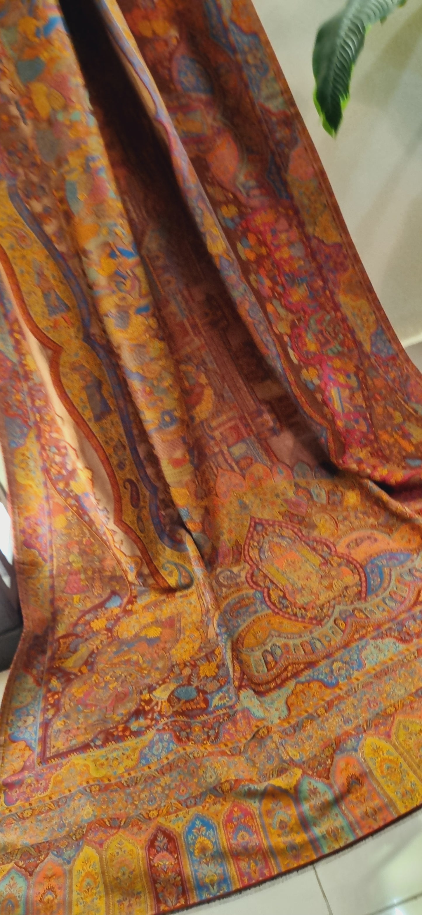 Moonlight darbari kaani pashmina