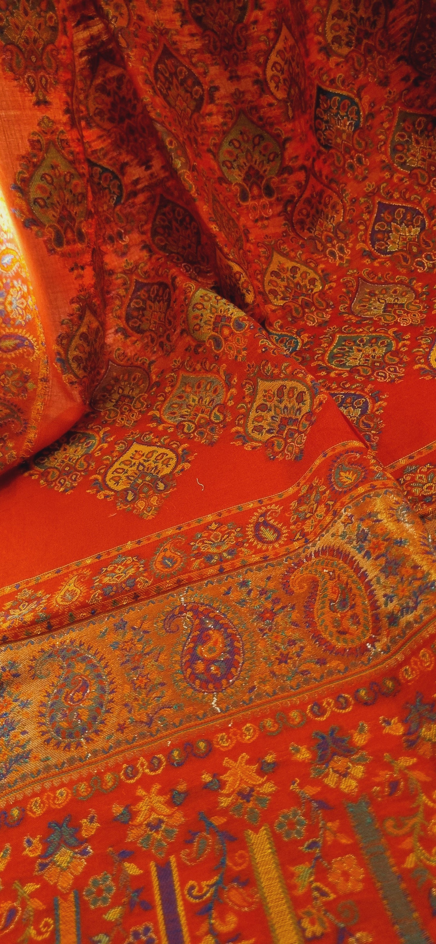 Tabrizi kaani pashmina
