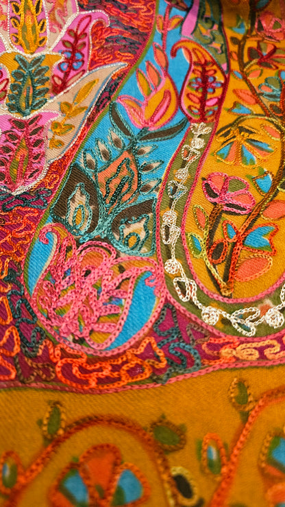 Reelkar embroidered: Pashmina