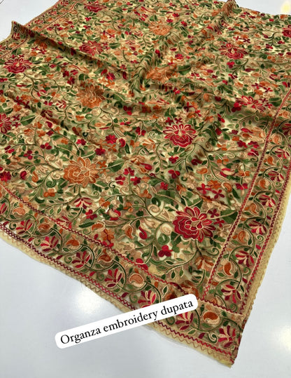 Embroidered duapta: Organza