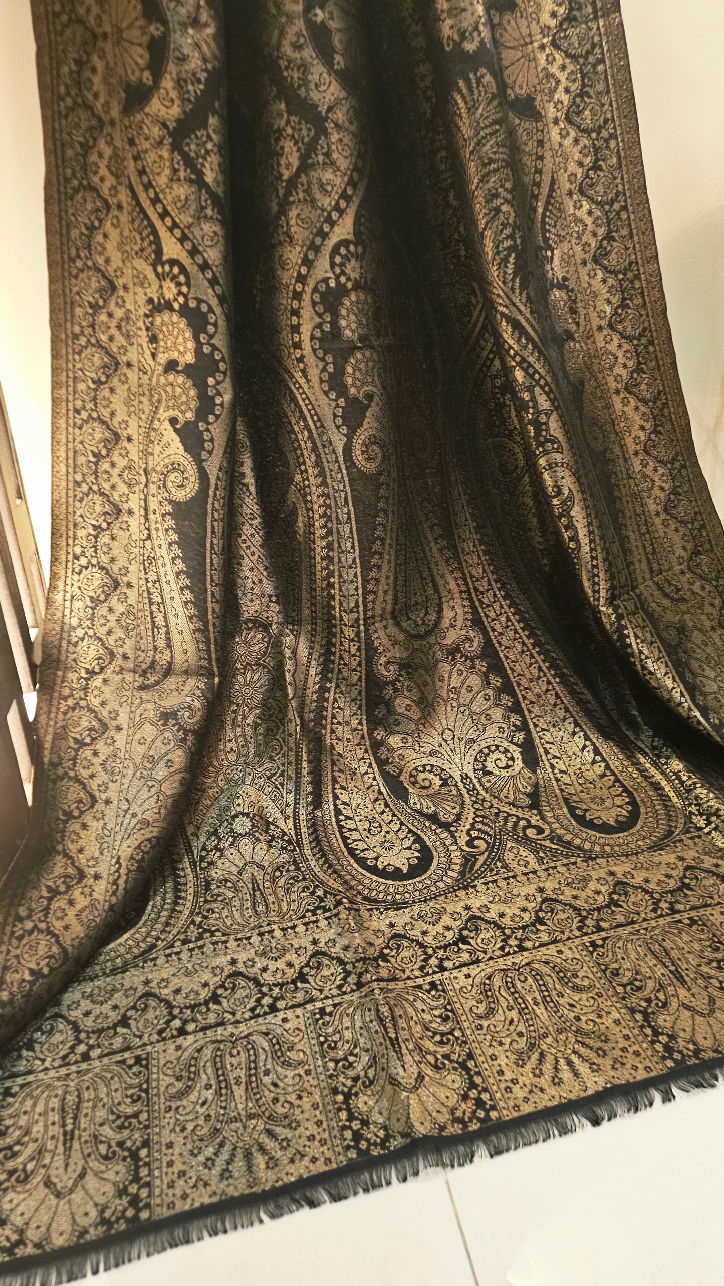 Reversible moonlight kaani: kanji varam