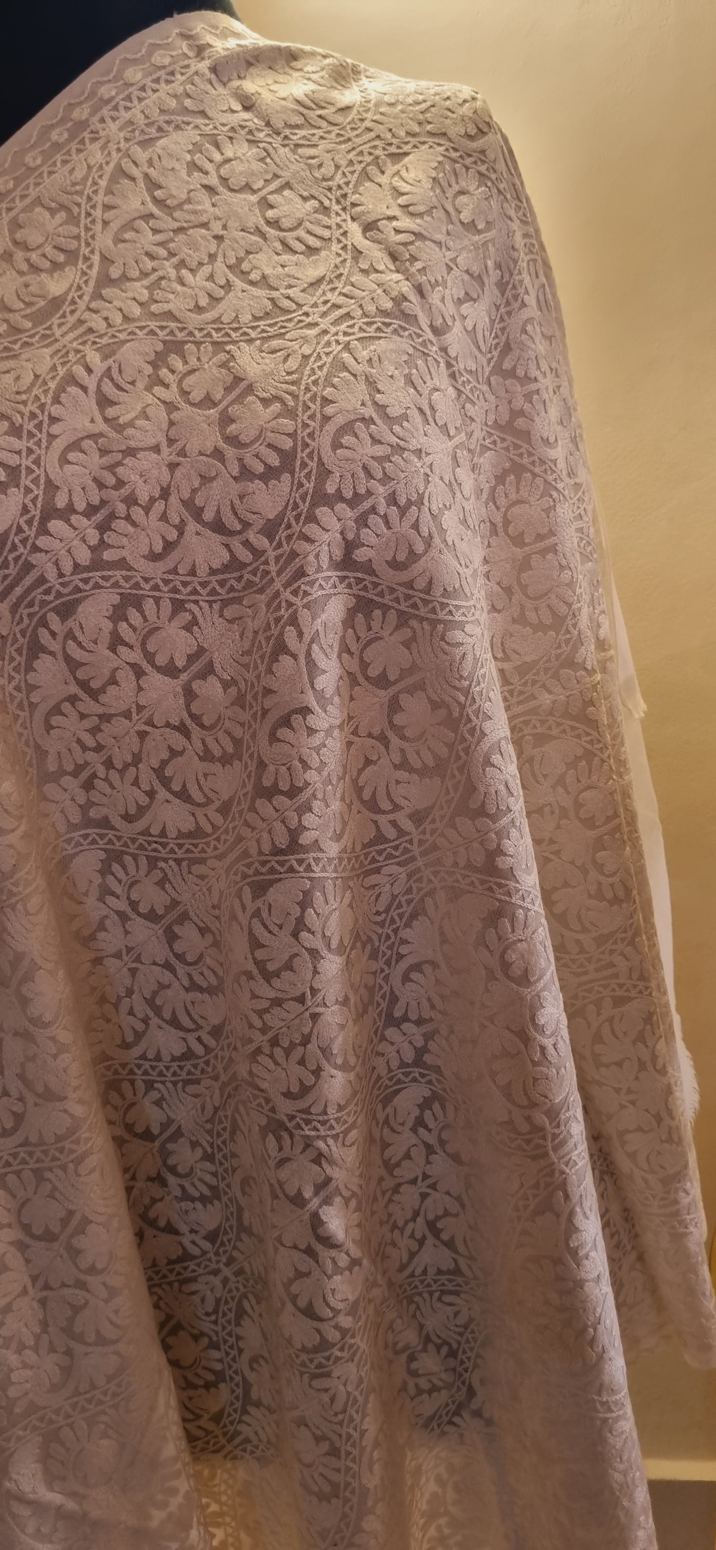 Pashmina embroidered Minishawl